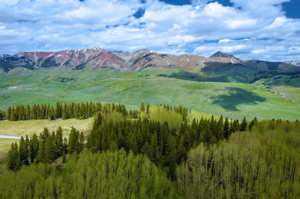Green forest and meadow beneath rocky mountains under a blue sky with clouds