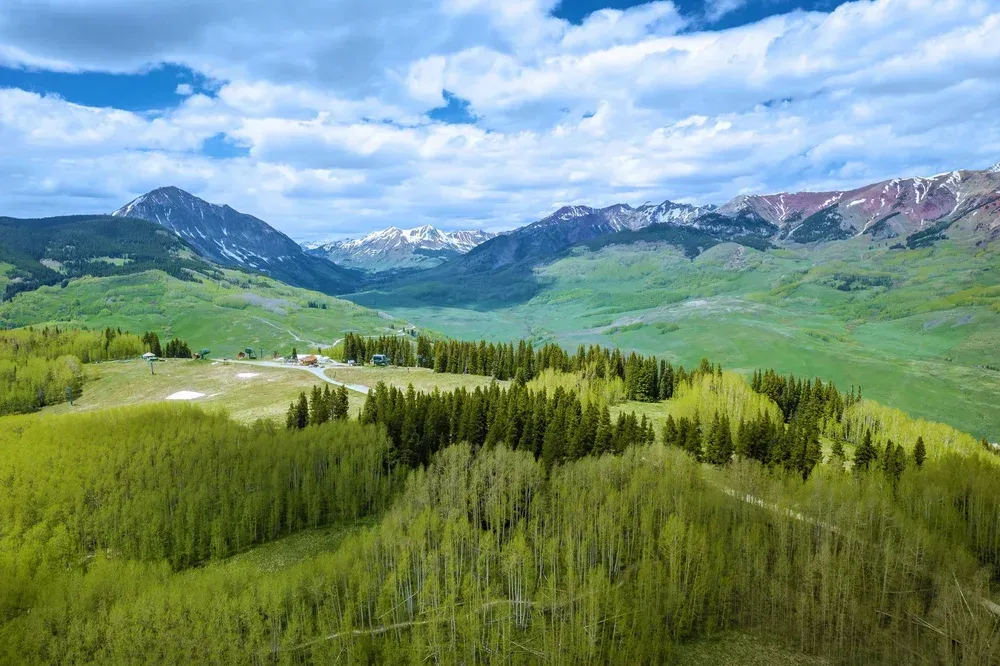 Green alpine valley with wildflowers, dark evergreen trees, and snow-dusted mountains under a cloudy sky