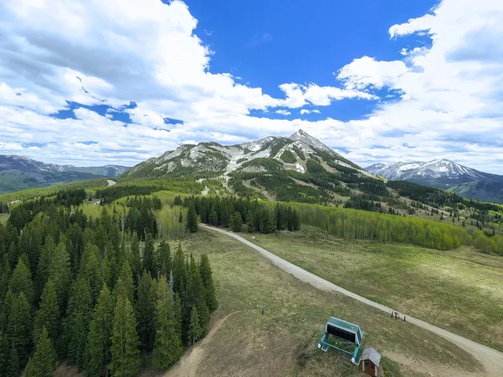 Mountain landscape with evergreen forest, winding dirt road, and a green truck under a blue sky