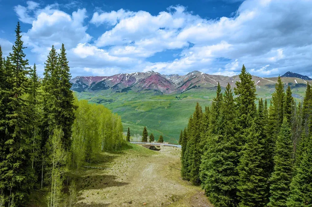 Mountain trail through green evergreens toward distant purple peaks under a blue, cloudy sky