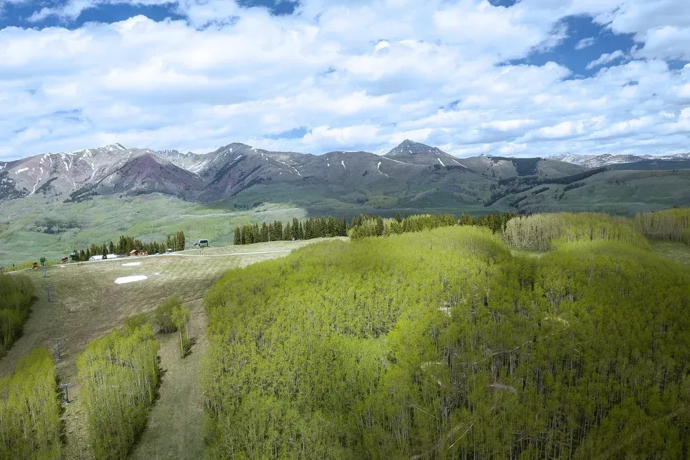 Mountain landscape with green forest, rocky peaks, and a partly cloudy blue sky