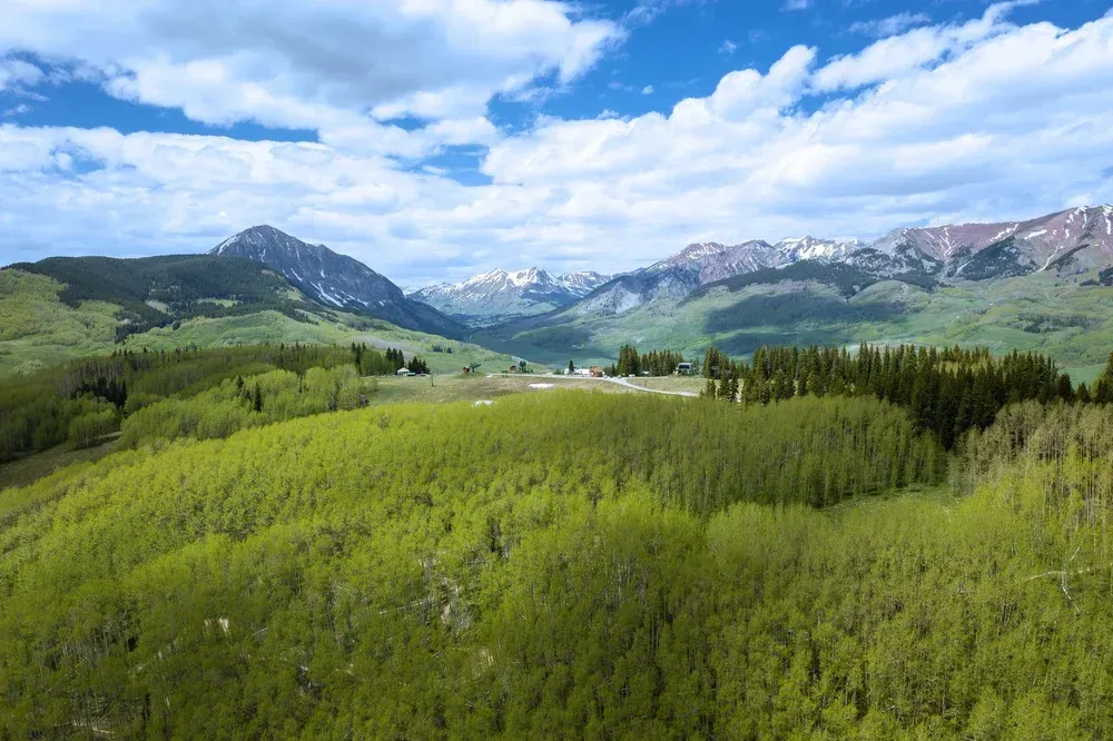 Green mountain meadow with a lake, pine trees, and snow-capped peaks under a cloudy blue sky