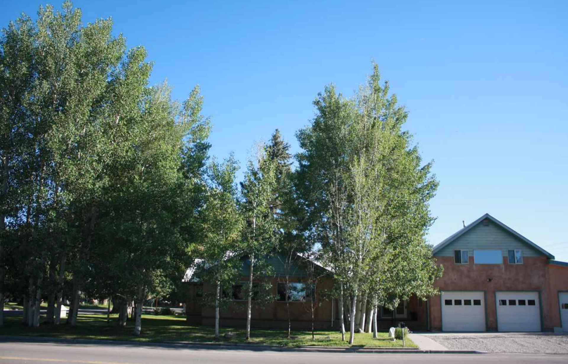Tree-lined suburban street with brick houses and a clear blue sky