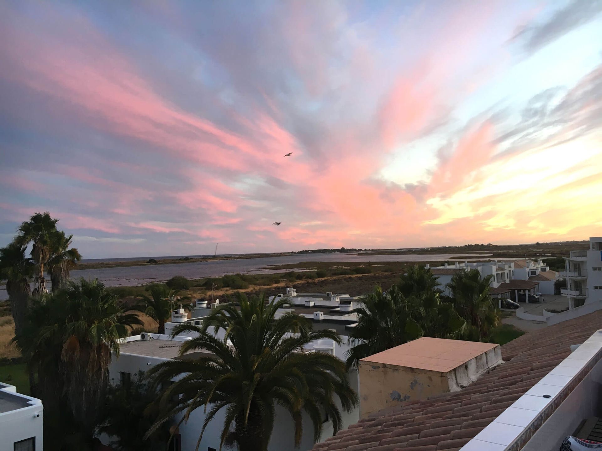 Algarve: ein Sonnenuntergang über einer Stadt mit Palmen im Vordergrund