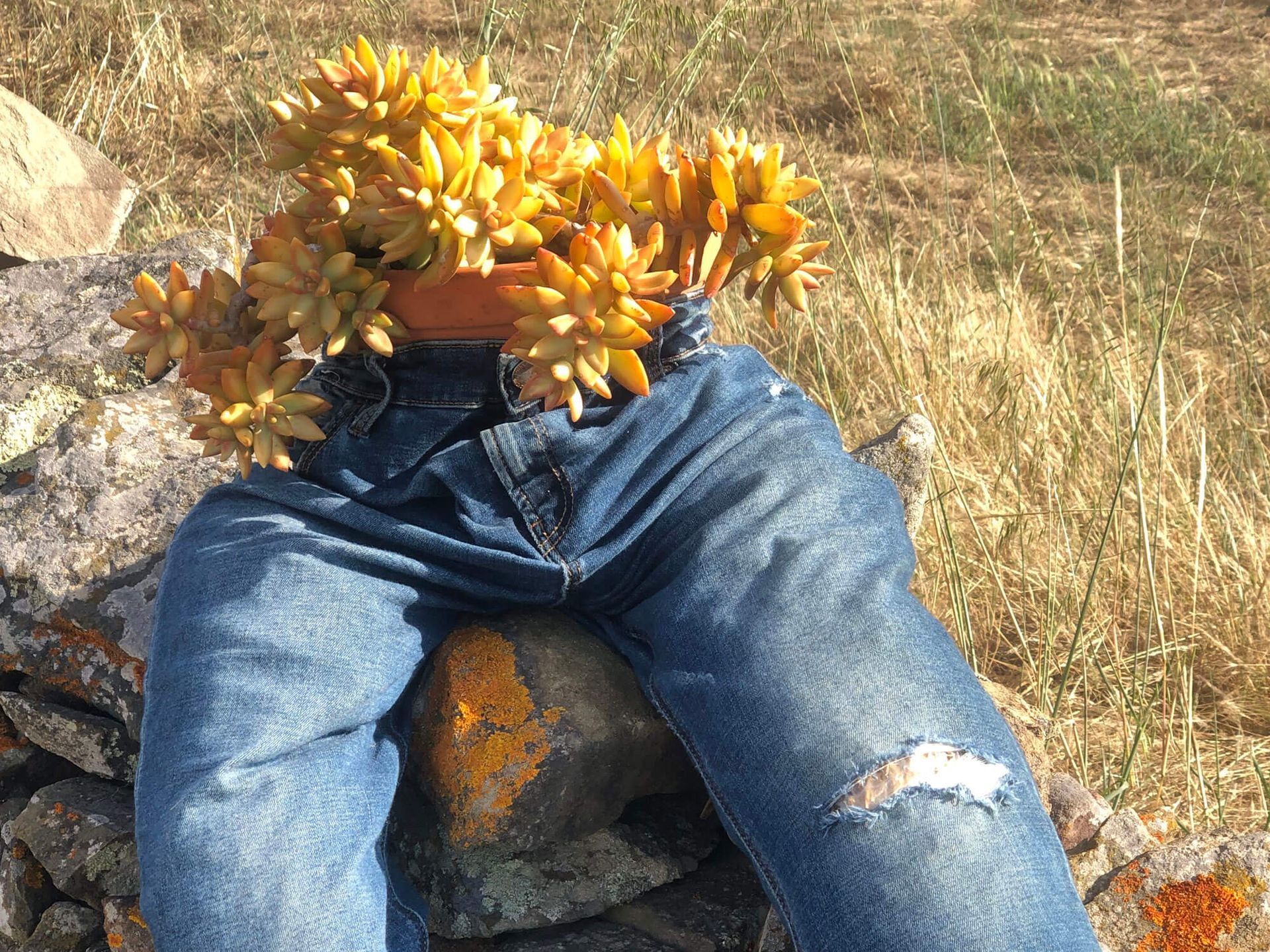 Algarve: Eine Puppe, die mit Blumen in ihrer Jeans auf einem Felsen sitzt