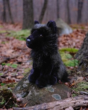 Douglas Toy Plush Animals
