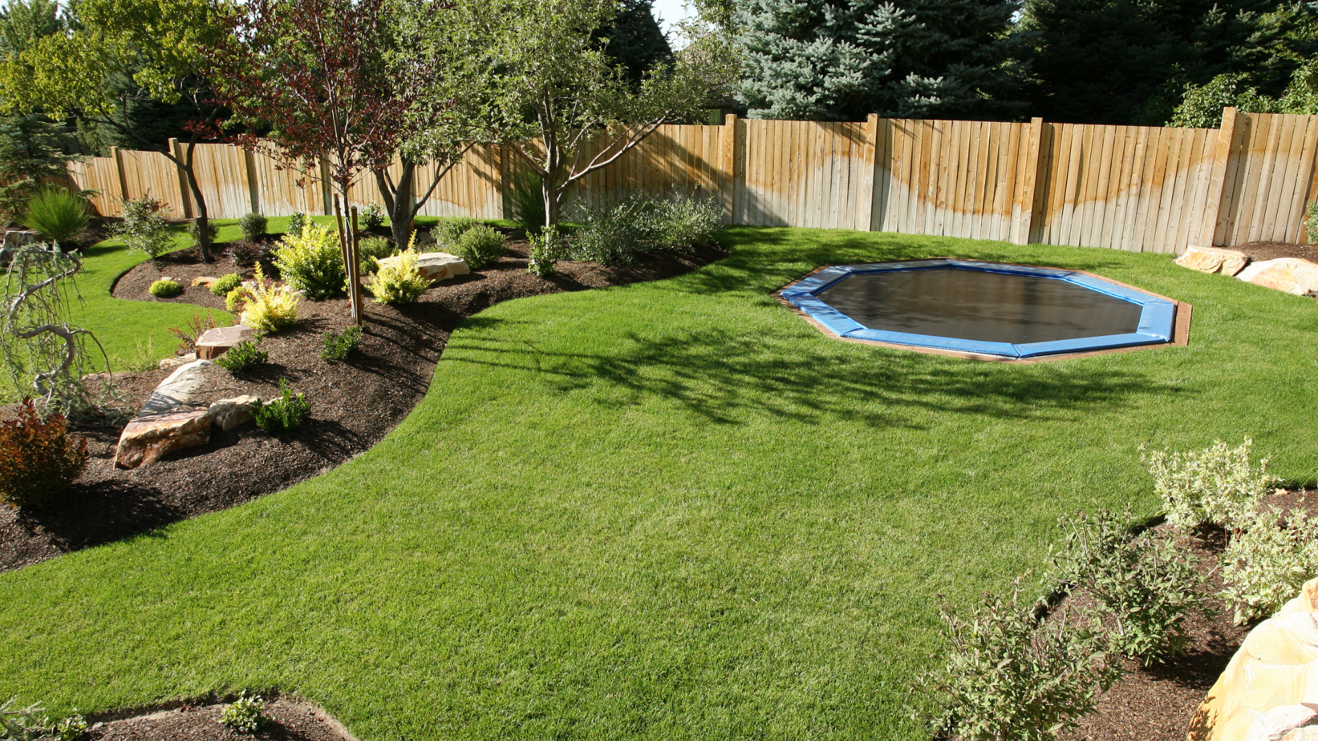 Lush green backyard with a trampoline and a wooden fence. Landscaping and plants are also included.