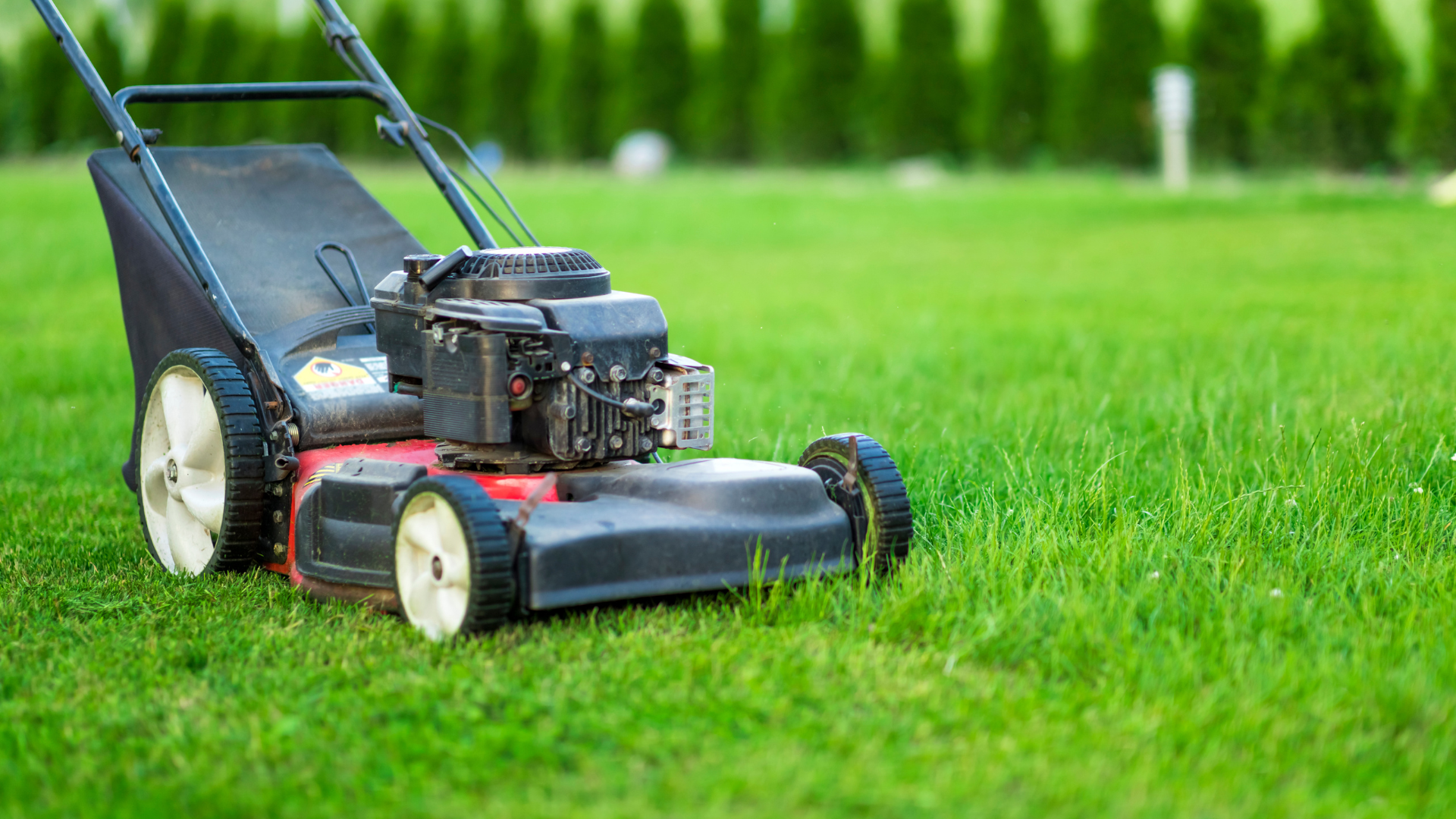 Lawn mower cutting a patch of green grass in a yard.