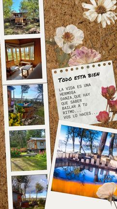 Collage de tablero de visión con fotos de playa, margaritas blancas y una nota escrita a mano sobre un fondo de corcho.