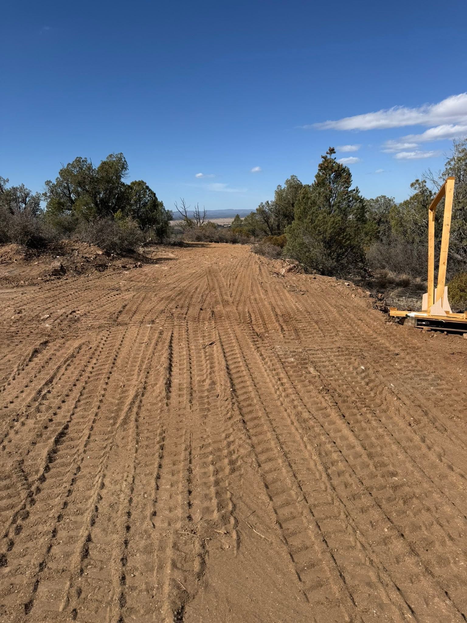 Graded dirt road through scrubby trees under a blue sky, with a yellow post on the right.