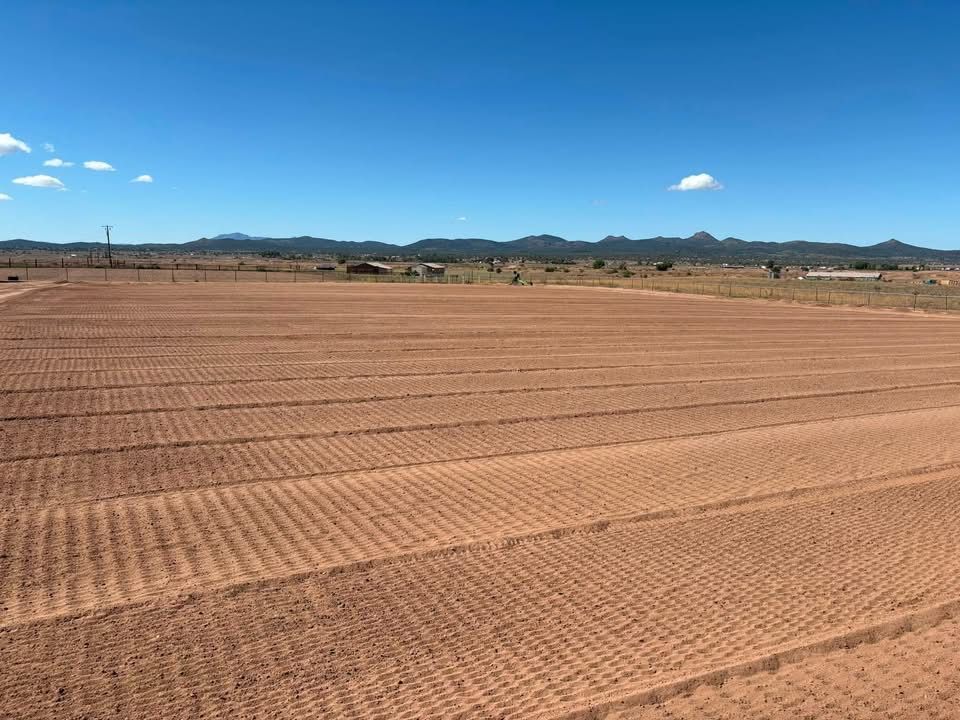 Dry, freshly tilled field under a clear blue sky with distant hills on the horizon