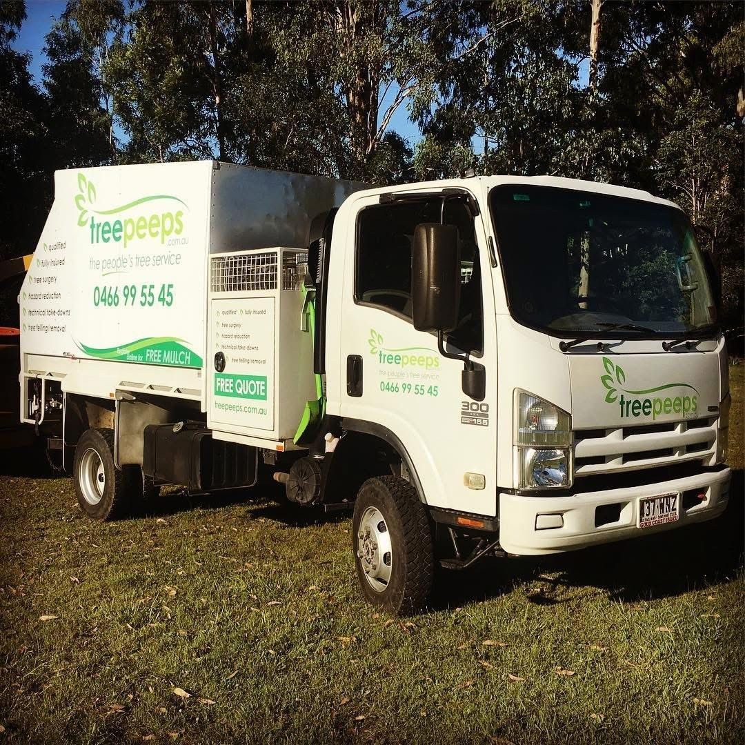Tree Services in wattle grove by Treepeeps Sydney tree services wattle grove
