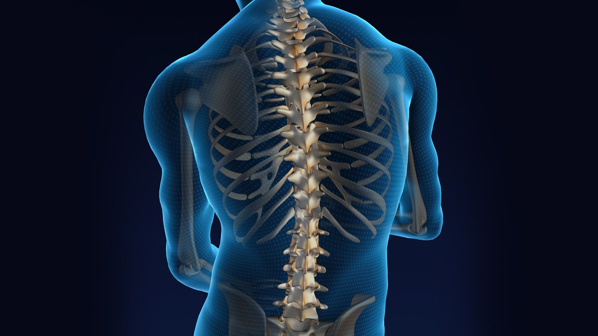 A Curve Spine