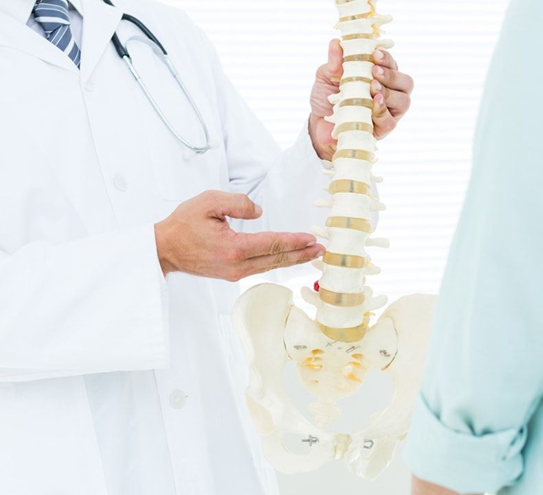 Doctor Showing a Spine Model