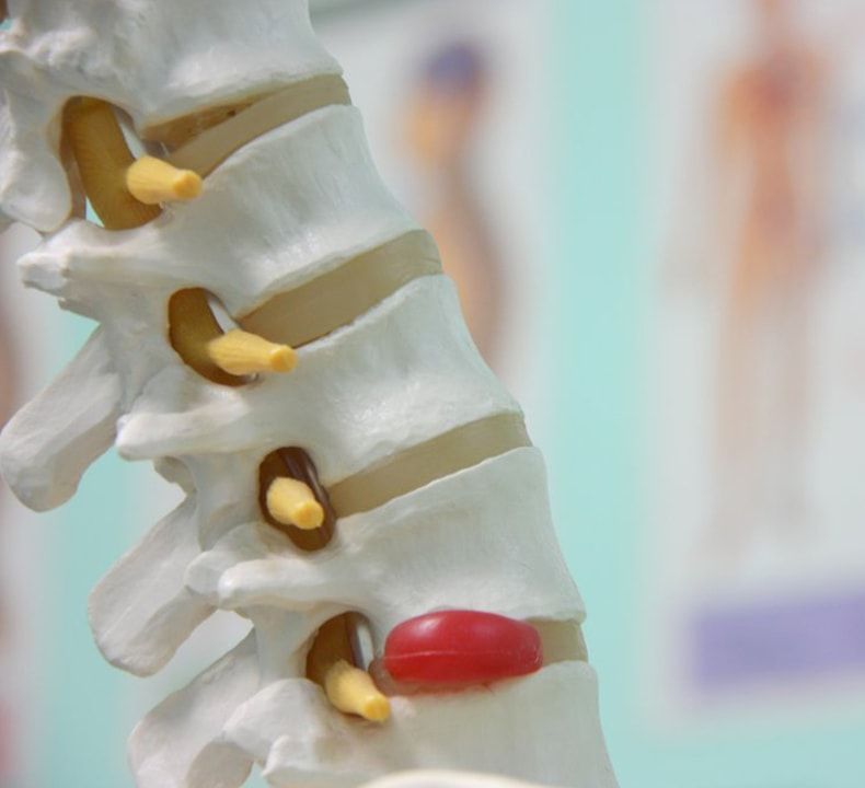 Spine Model