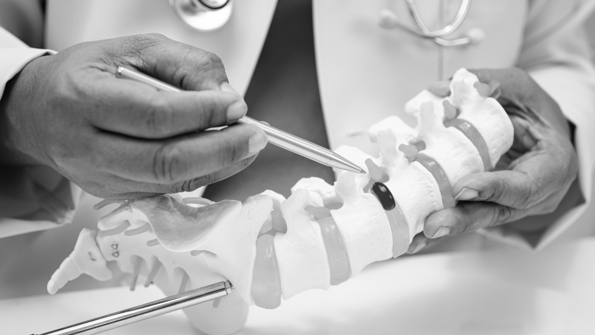 Hands adjusting a small white spine model with a tool on a desk