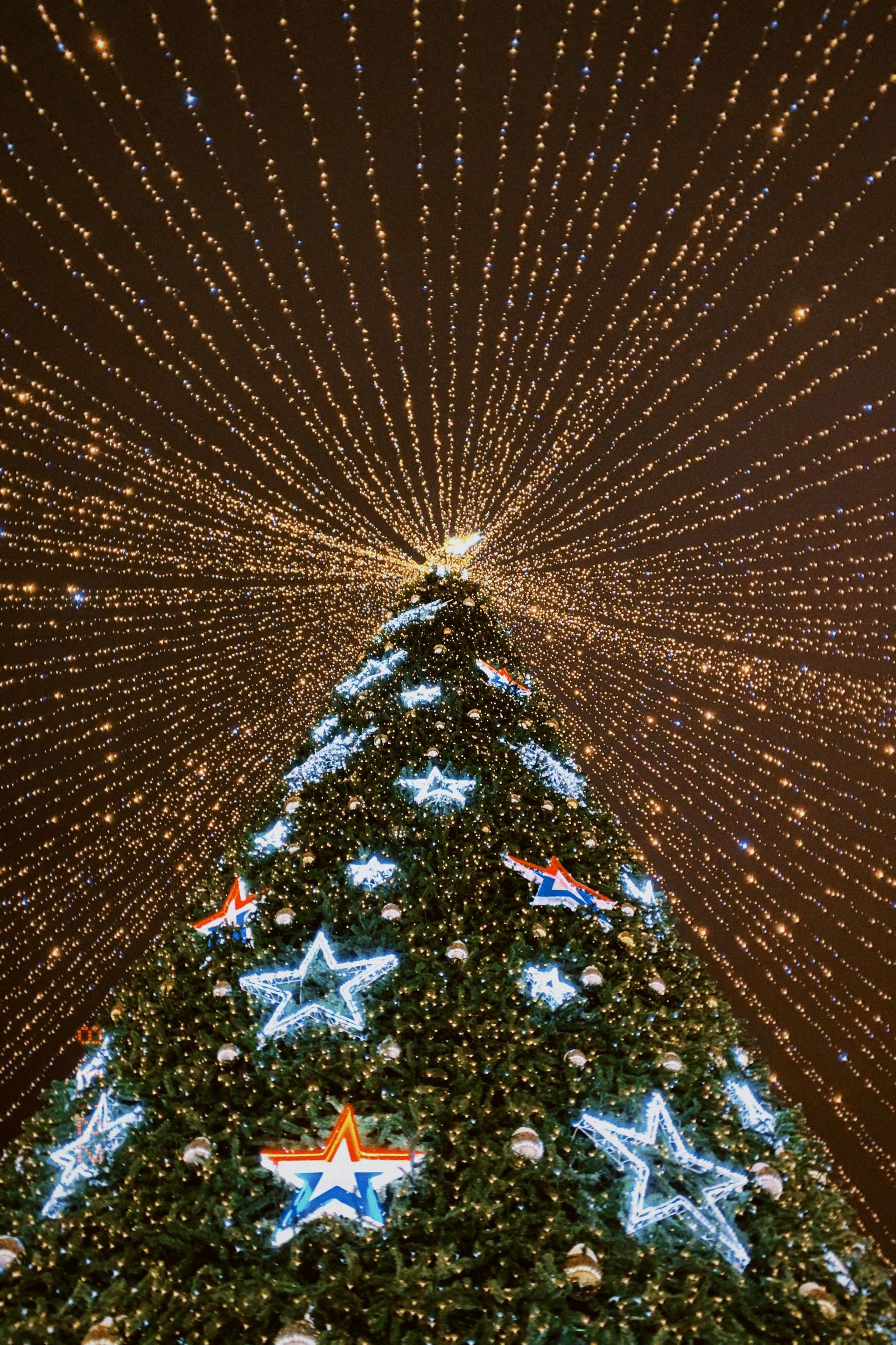 Looking up at a christmas tree decorated with stars and lights at night.