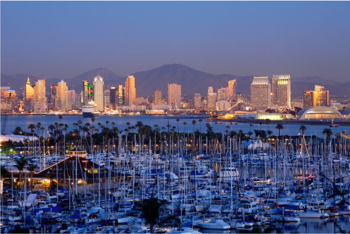 A city skyline with a lot of boats in the foreground
