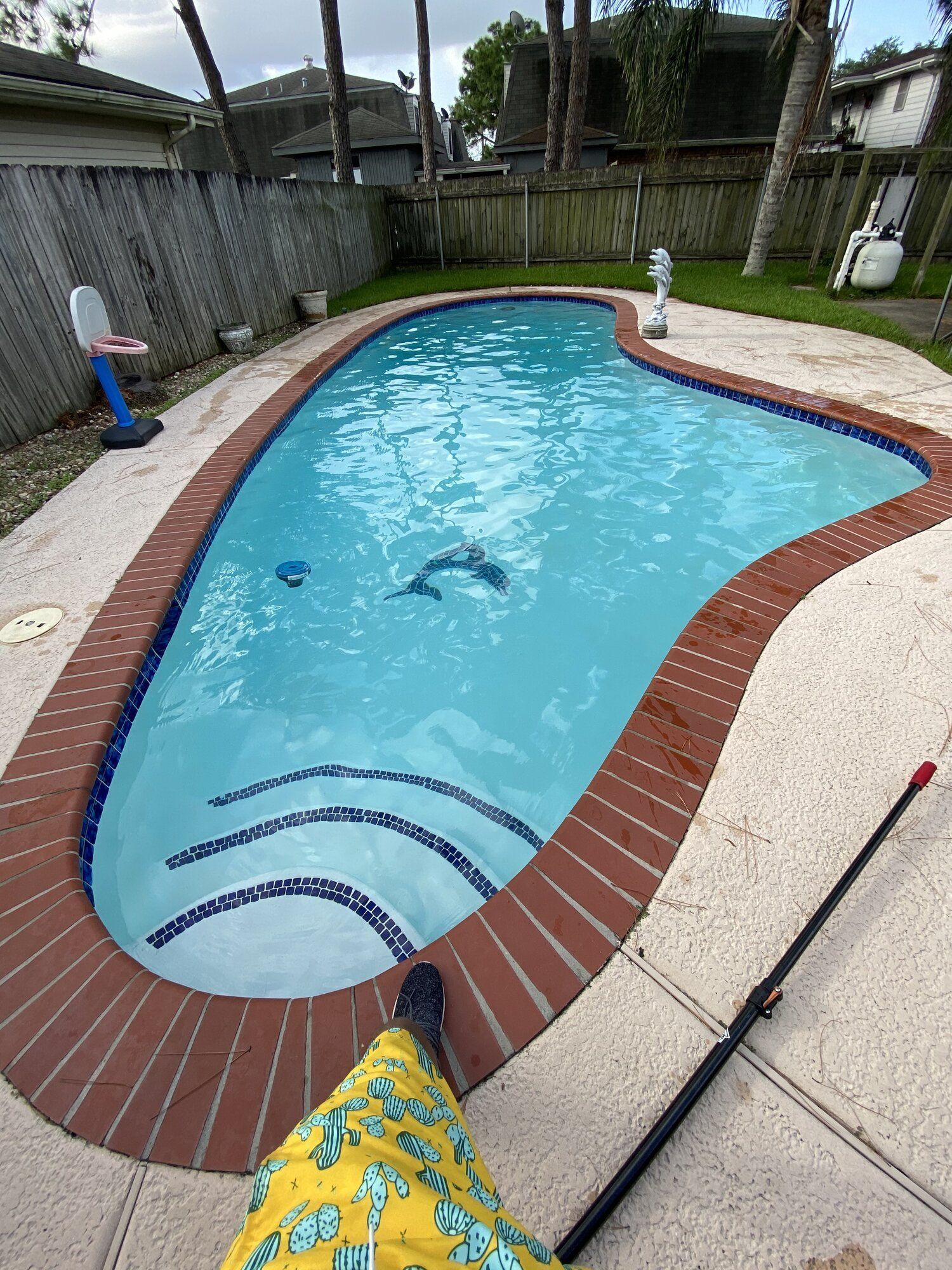 Curve Shape Pool — New Orleans, LA — Blue Street Pools