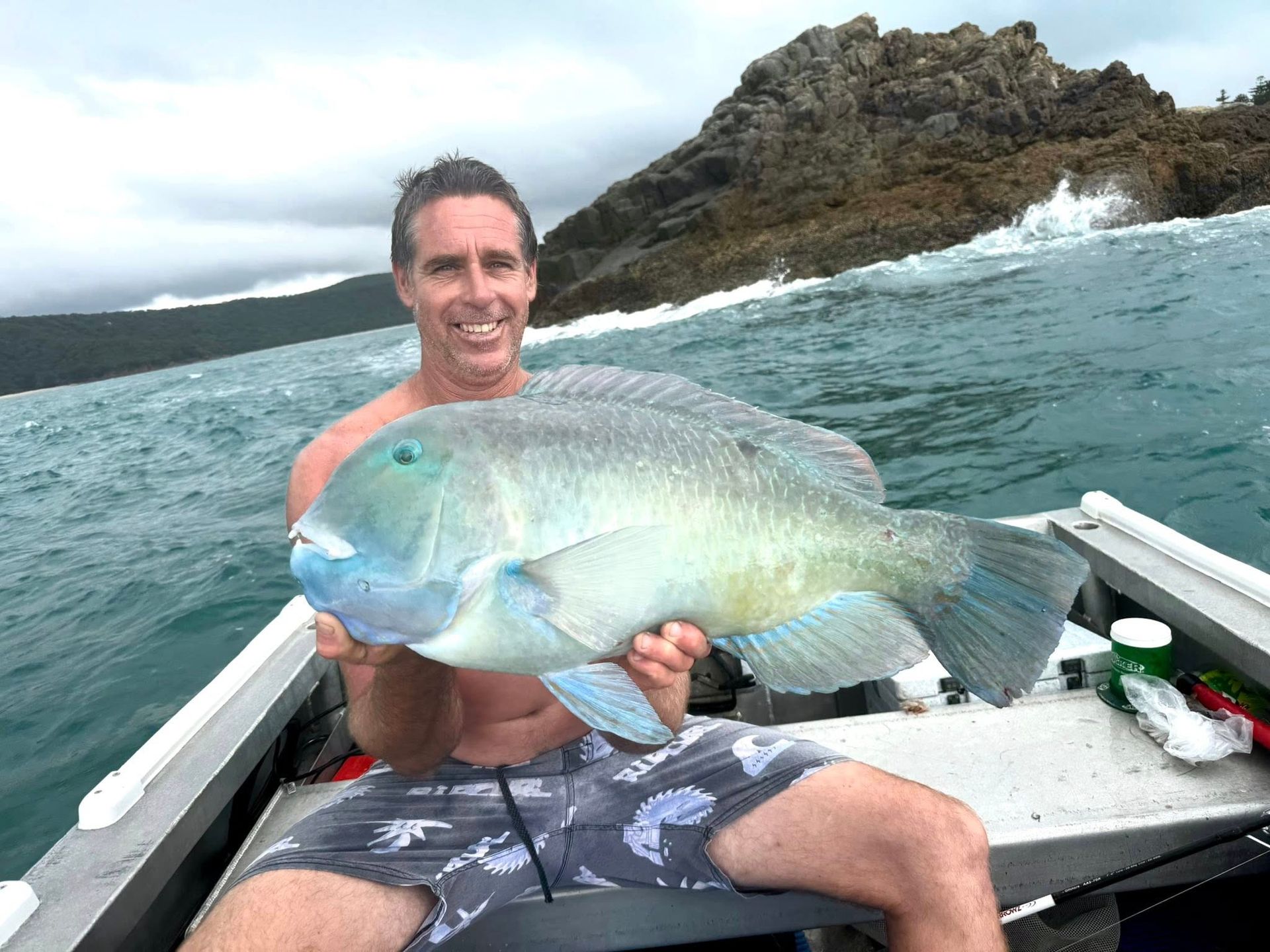 A person on a boat holds a large, blue-green tuskfish, smiling towards the camera with a rocky coastline in the background.