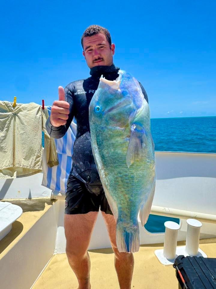 A person in a wetsuit holds a large, iridescent blue and green fish on a boat deck, giving a thumbs-up gesture.