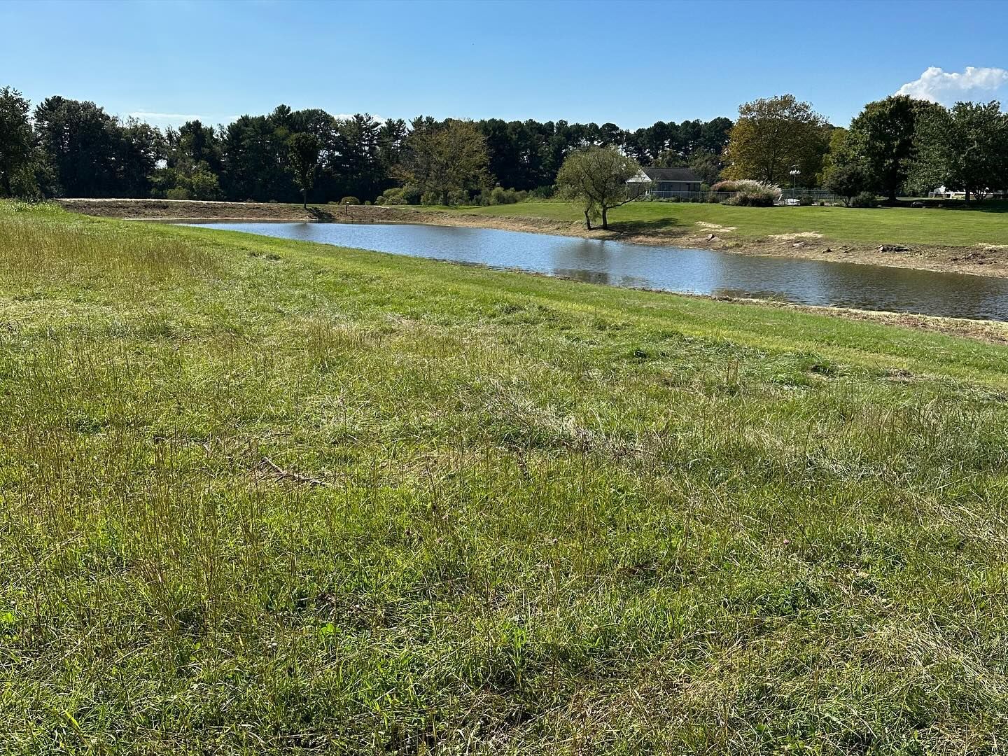 A grassy slope overlooking a calm pond under a clear blue sky, with a line of trees in the background.