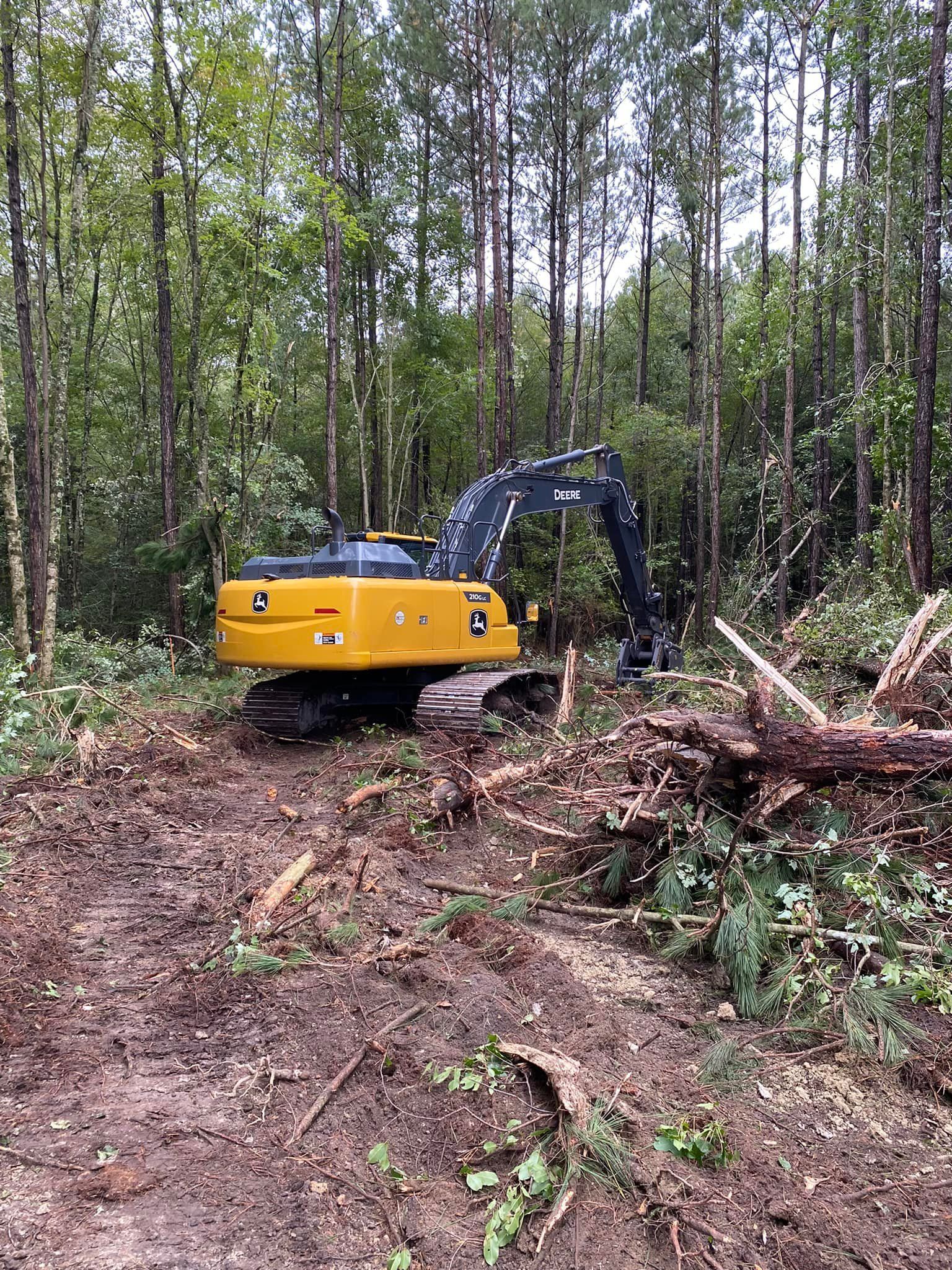 A yellow excavator parked in a wooded area, surrounded by cleared brush and pine trees.