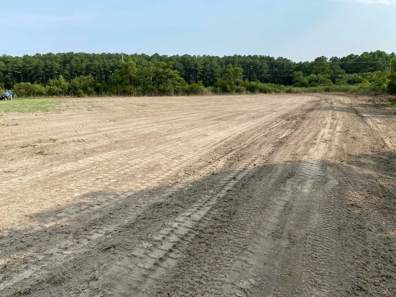 A cleared, dirt-covered field bordered by a dense forest under a clear sky, with tire tracks visible in the foreground.