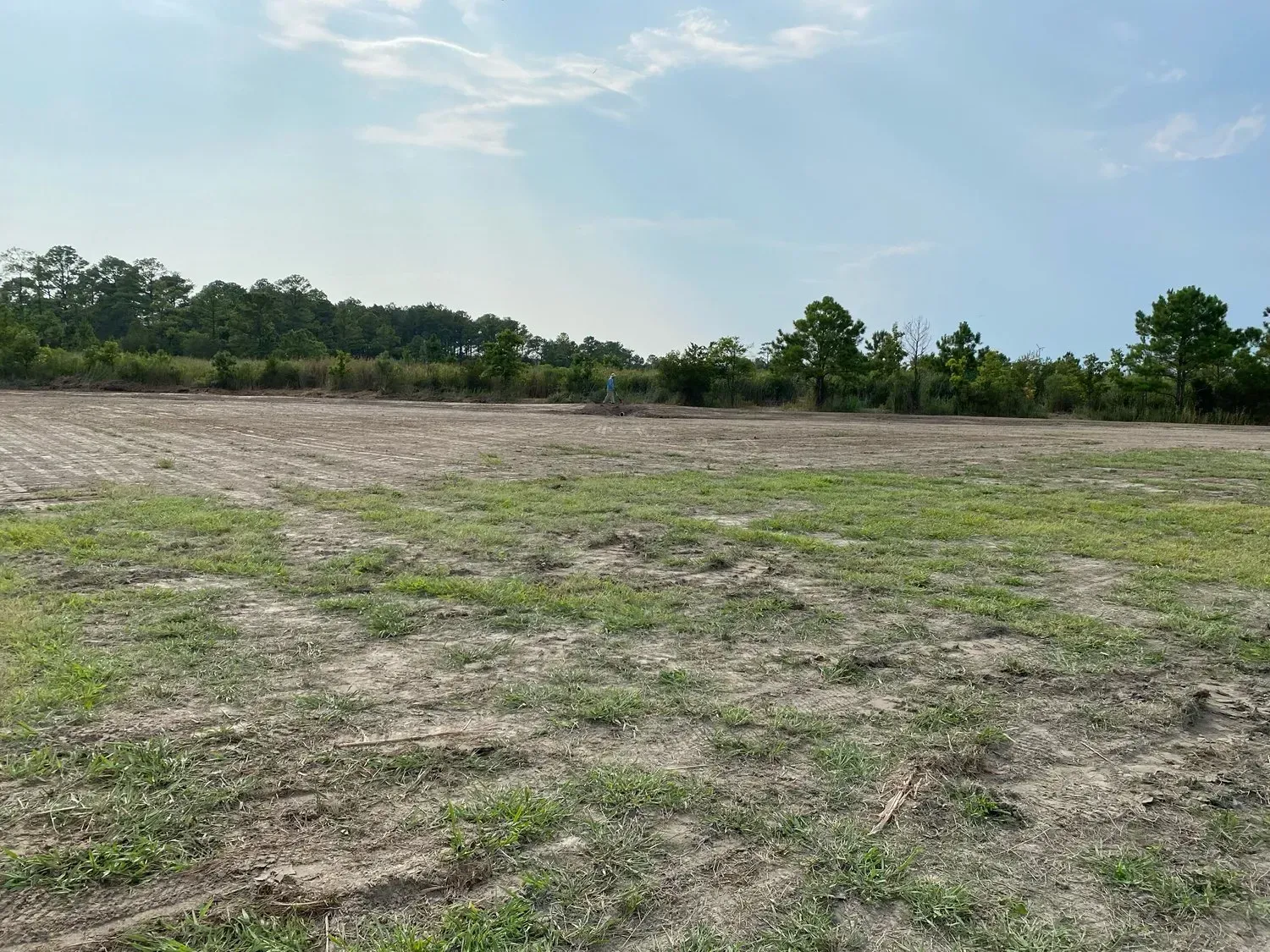 A cleared plot of land with patches of green vegetation under a partly cloudy sky, bordered by a line of trees.