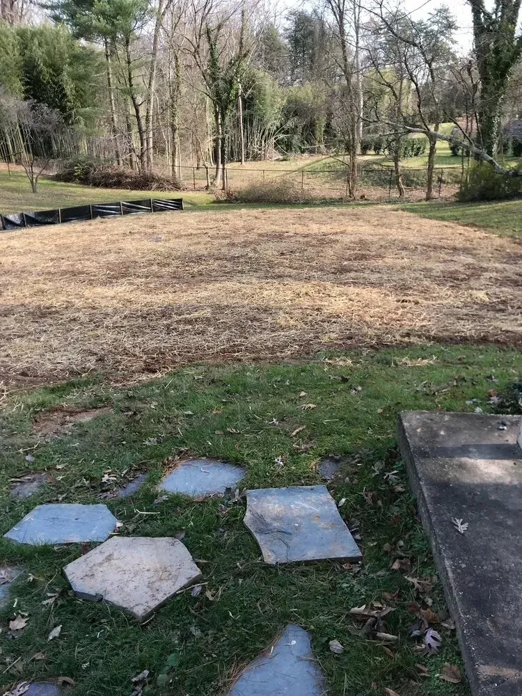 A yard with a cleared, mulched area in the background, featuring stone pavers embedded in grass in the foreground.