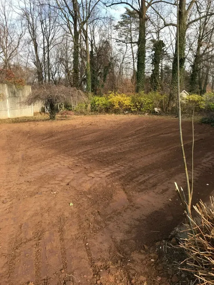 A freshly cleared dirt yard with tire tracks, surrounded by trees and a concrete wall on a bright day.