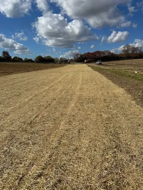 A wide-angle view of a mowed field with dry, golden stubble under a bright blue sky with puffy white clouds.
