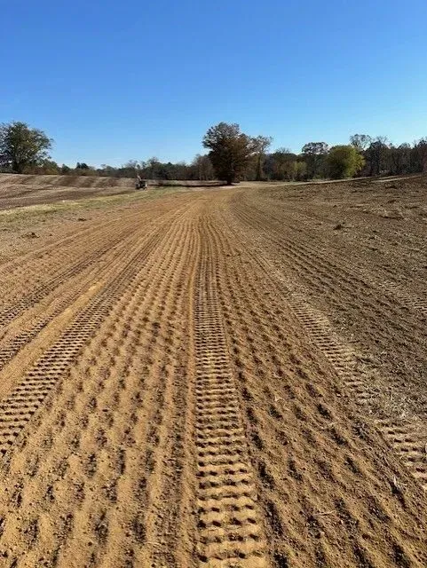 A dirt path with deep tractor tire tracks leads through a field under a clear blue sky towards trees in the distance.