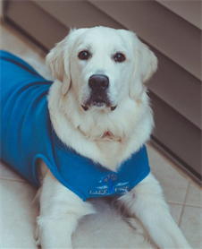 Staff Photo