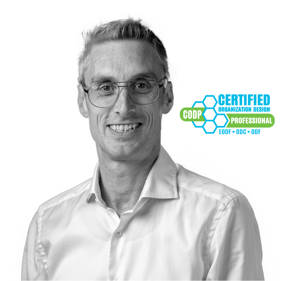 Hannes Alton, Organizational Architect, CODP® Certified Organization Design Professional portrait.
