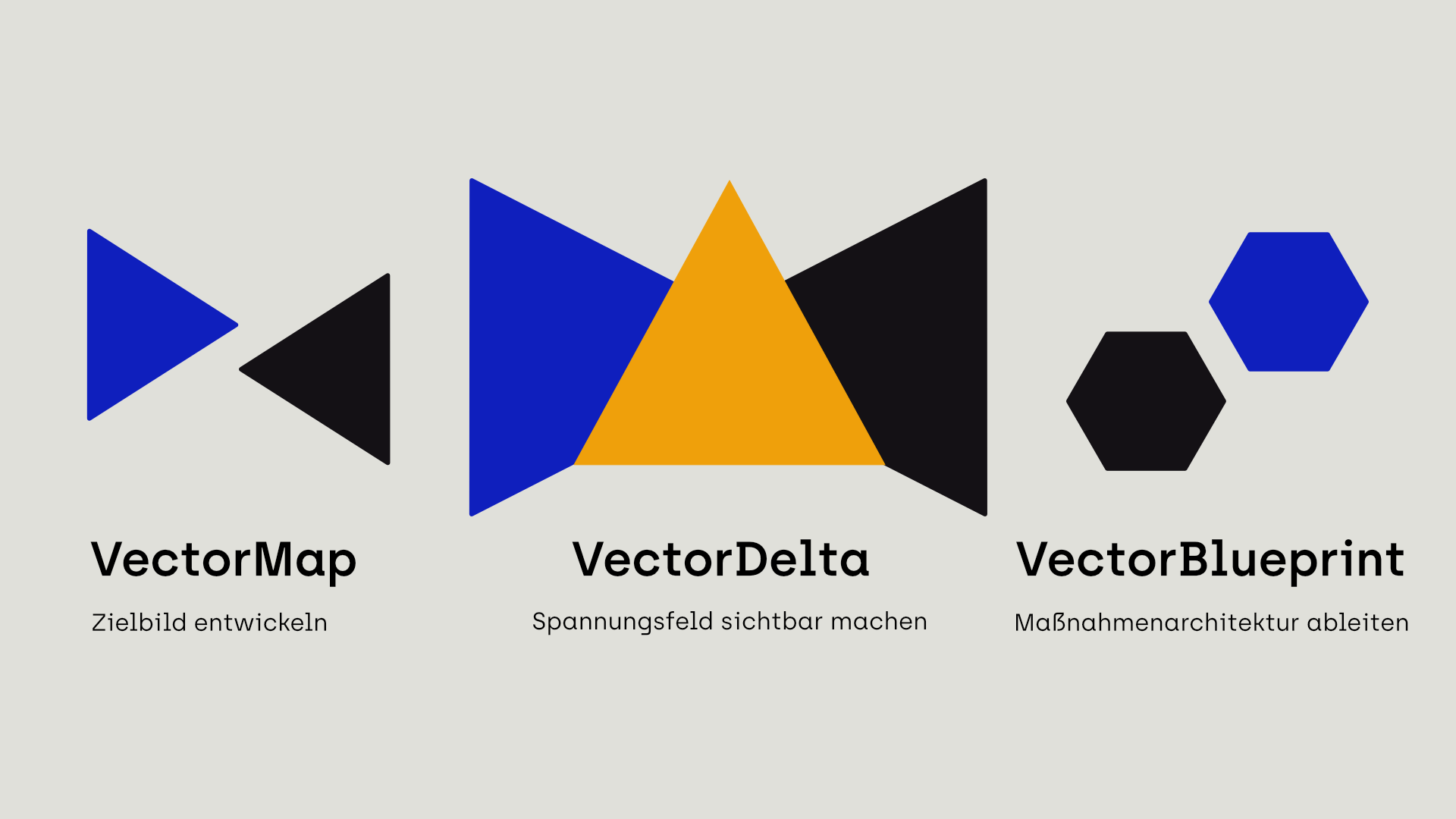 Vector³ framework diagnostico — VectorMap, VectorDelta, VectorBlueprint - tre fasi della diagnosi organizzativa di Hannes Alton