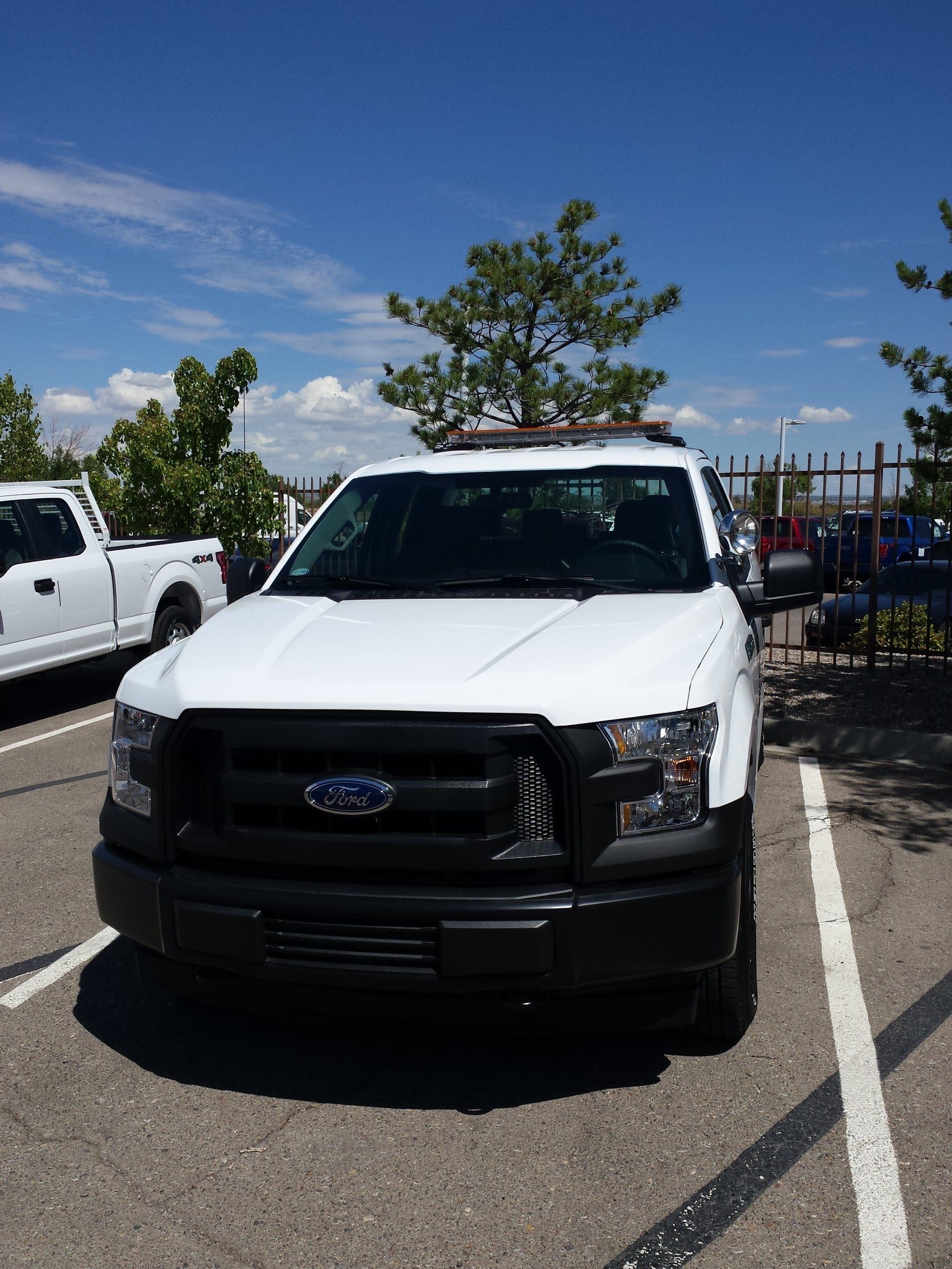 White Ford F-150 truck parked in a lot with a blue sky overhead.