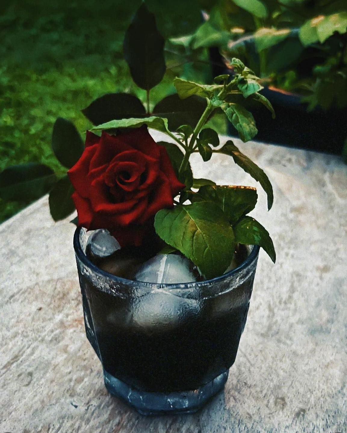 Red rose in a glass on a stone table outdoors