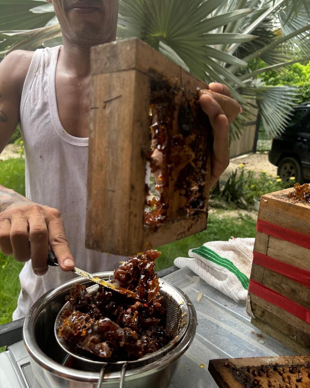 Person holding a honeycomb over a bowl, scraping dark honey into a metal dish outdoors.