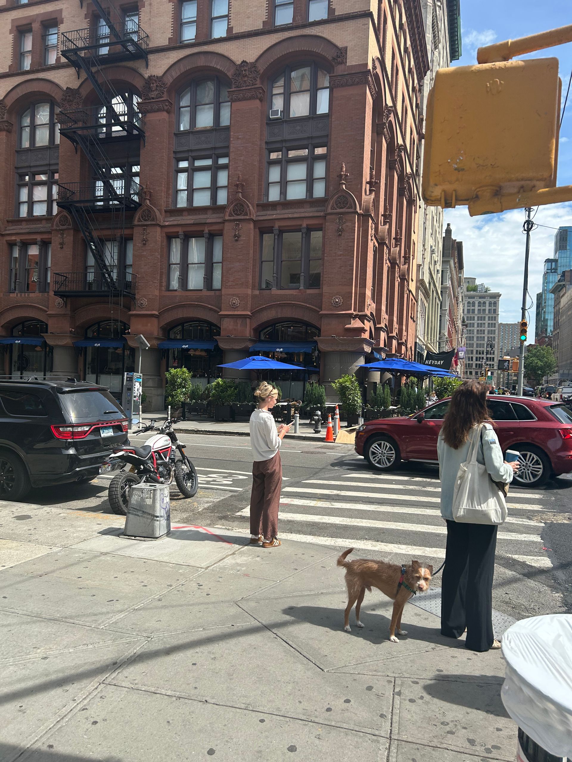 City street corner with pedestrians, a dog, crosswalk, and a brick building in the background.