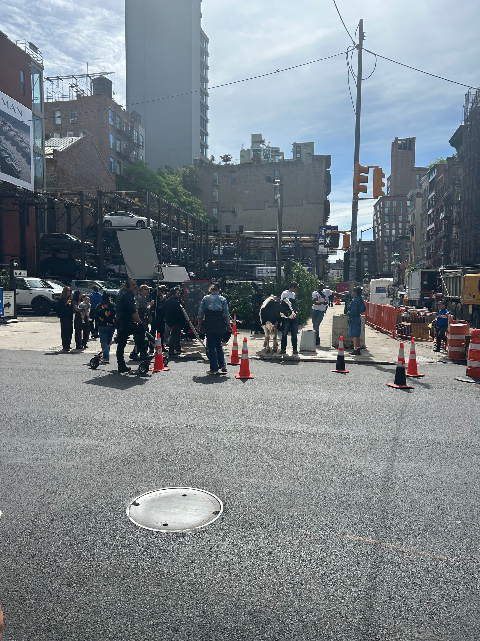 Crowd of people with signs and cones blocking a sunlit city street near tall buildings
