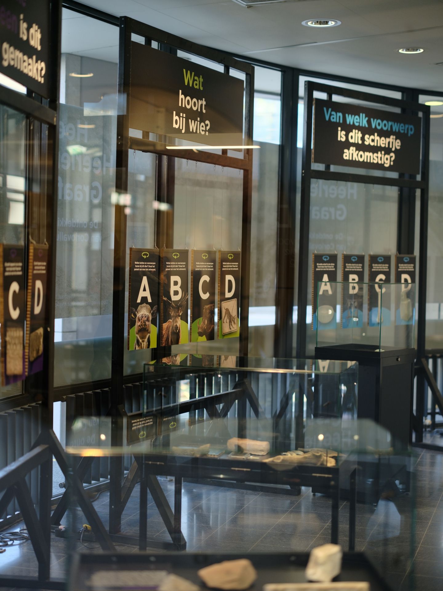 Tentoonstelling Heel Heerlen Graaft!