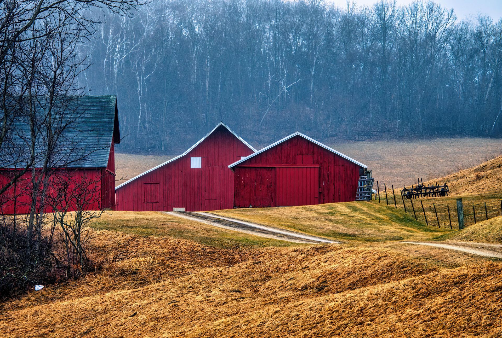 Red barns in a rural field with a winding dirt road and leafless trees in the background