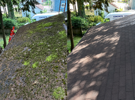 Split view of a mossy gravel slope and a brick-paved walkway in a garden-like setting
