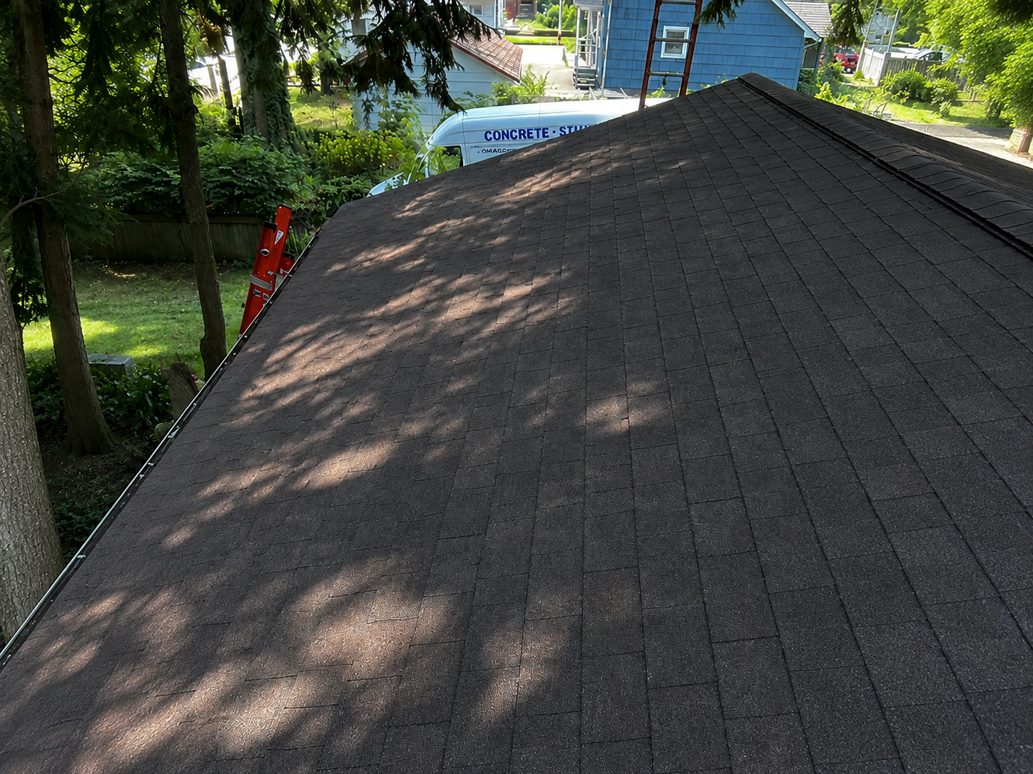 Dark gray shingled roof viewed from above, with trees and a blue house in the background