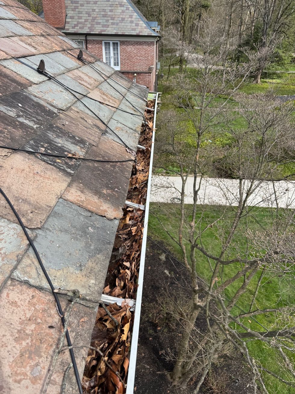 Roof edge with mossy shingles and a gutter full of leaves beside a yard and trees