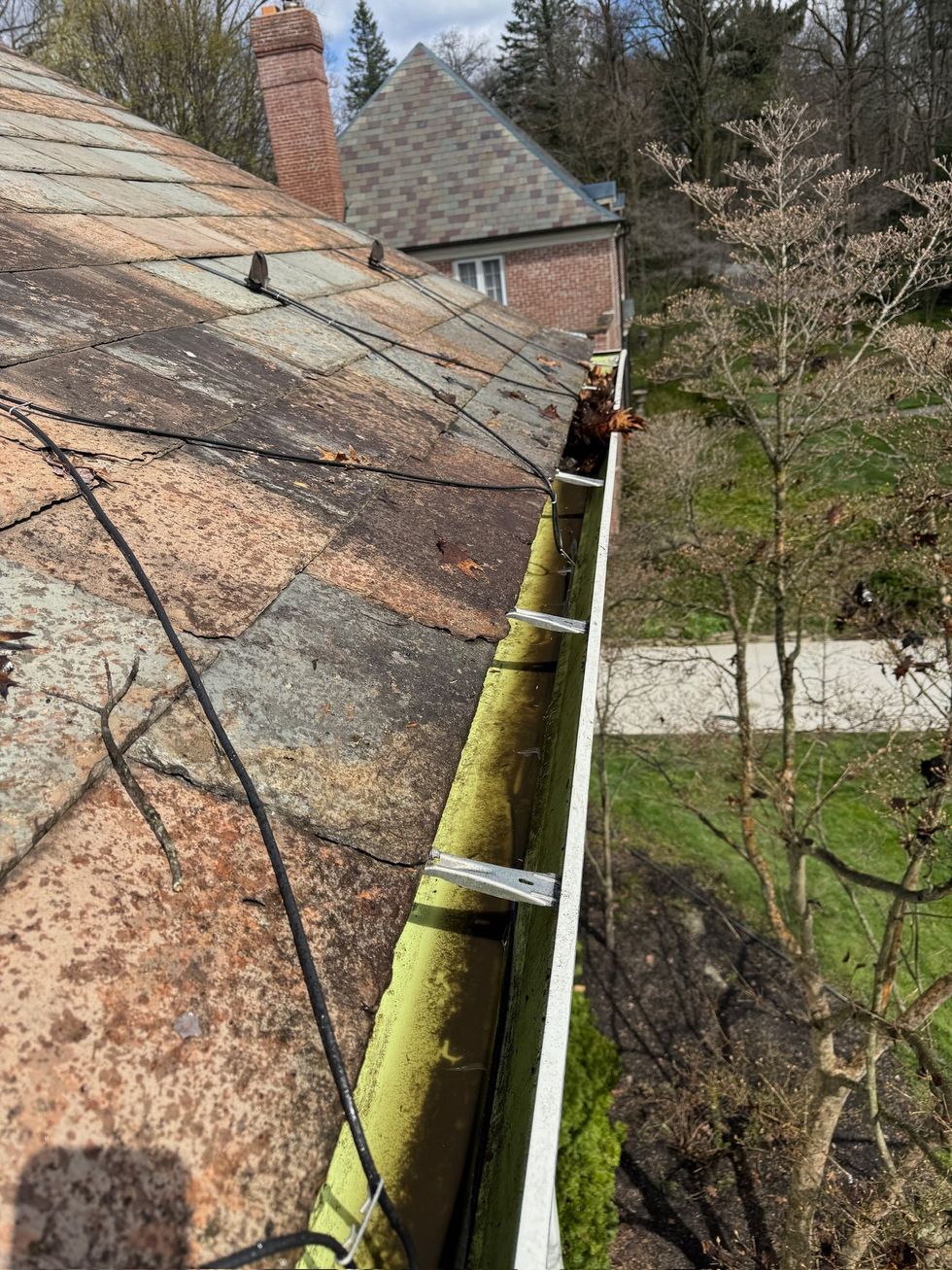 Steep roof with leaf-covered gutter and ladder in a wooded residential yard