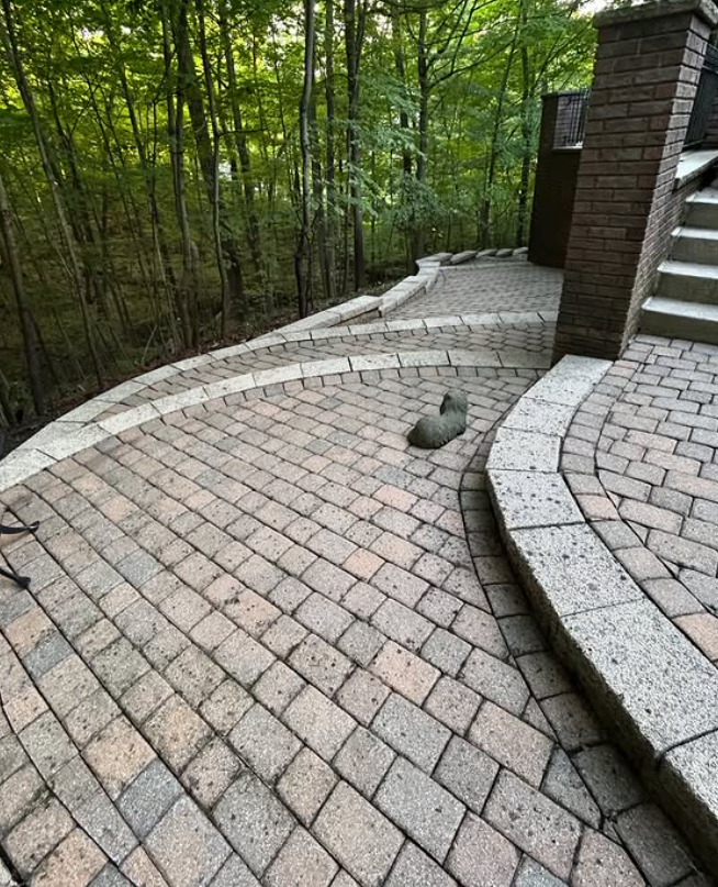 Curved brick patio and stone steps beside a wooded backyard, with a small rock on the pavers.
