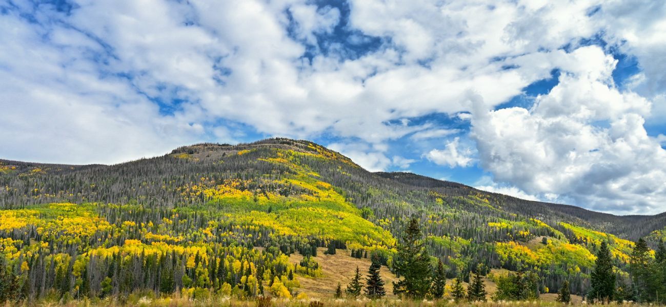 Fishlake National Forest