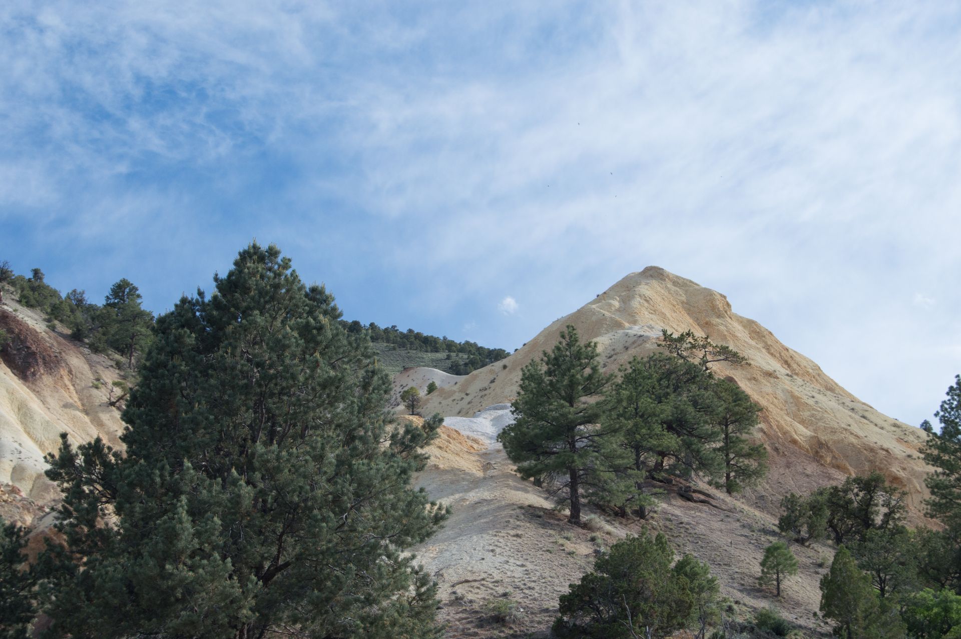 big rock candy mounntain